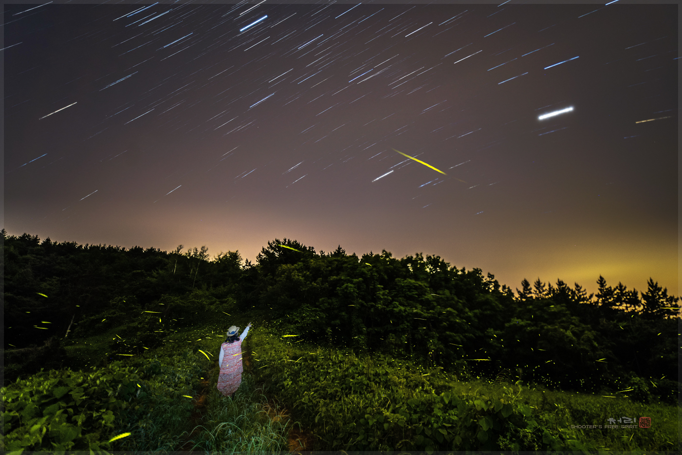 Startrails13.jpg