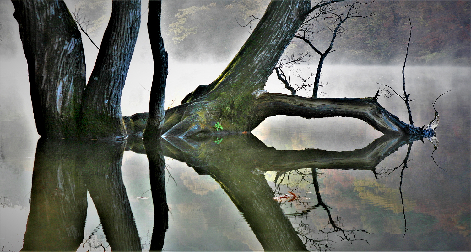 대칭사본 -_MG_0059.jpg