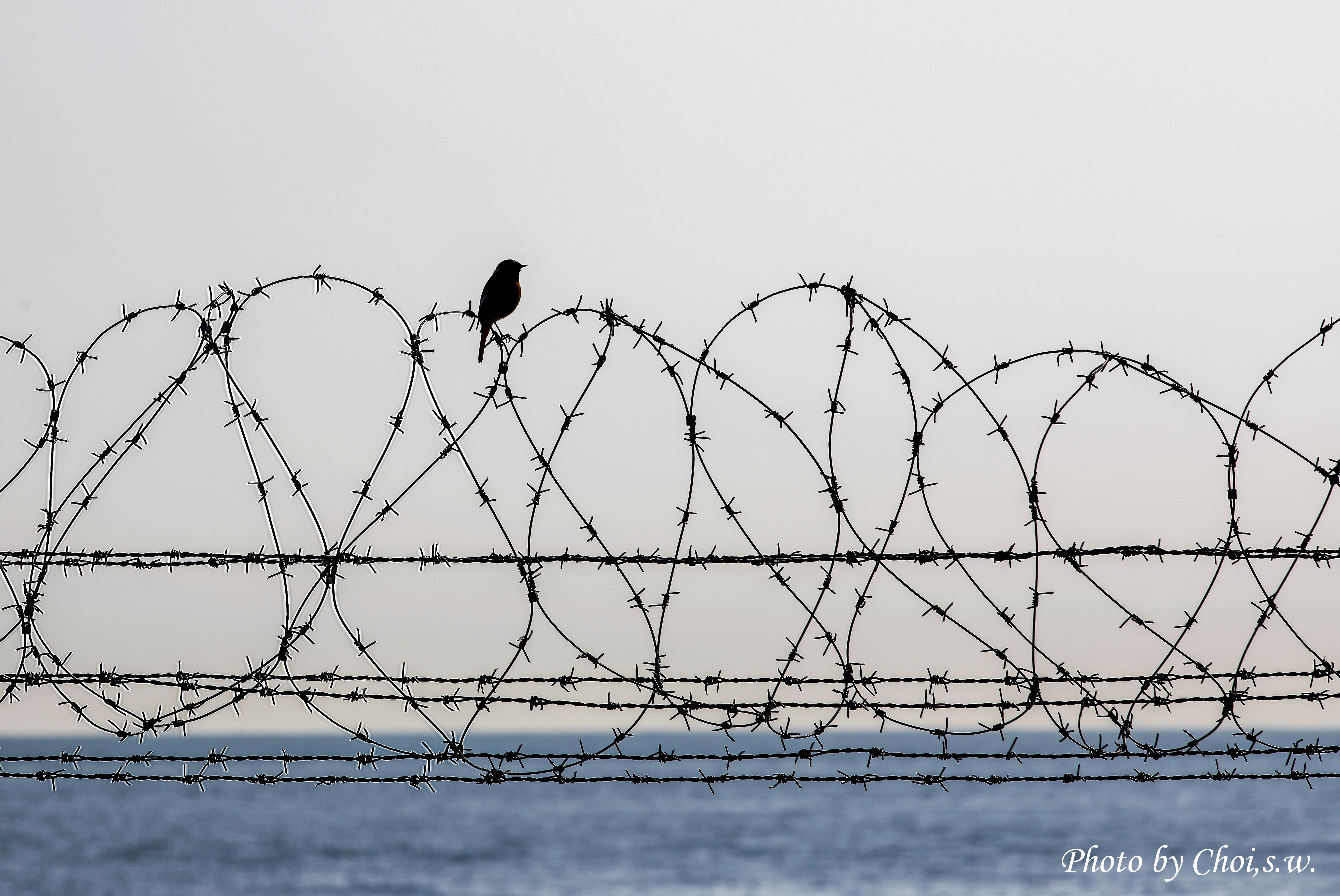 봄이 오려나봐요~(_54A7880).jpg