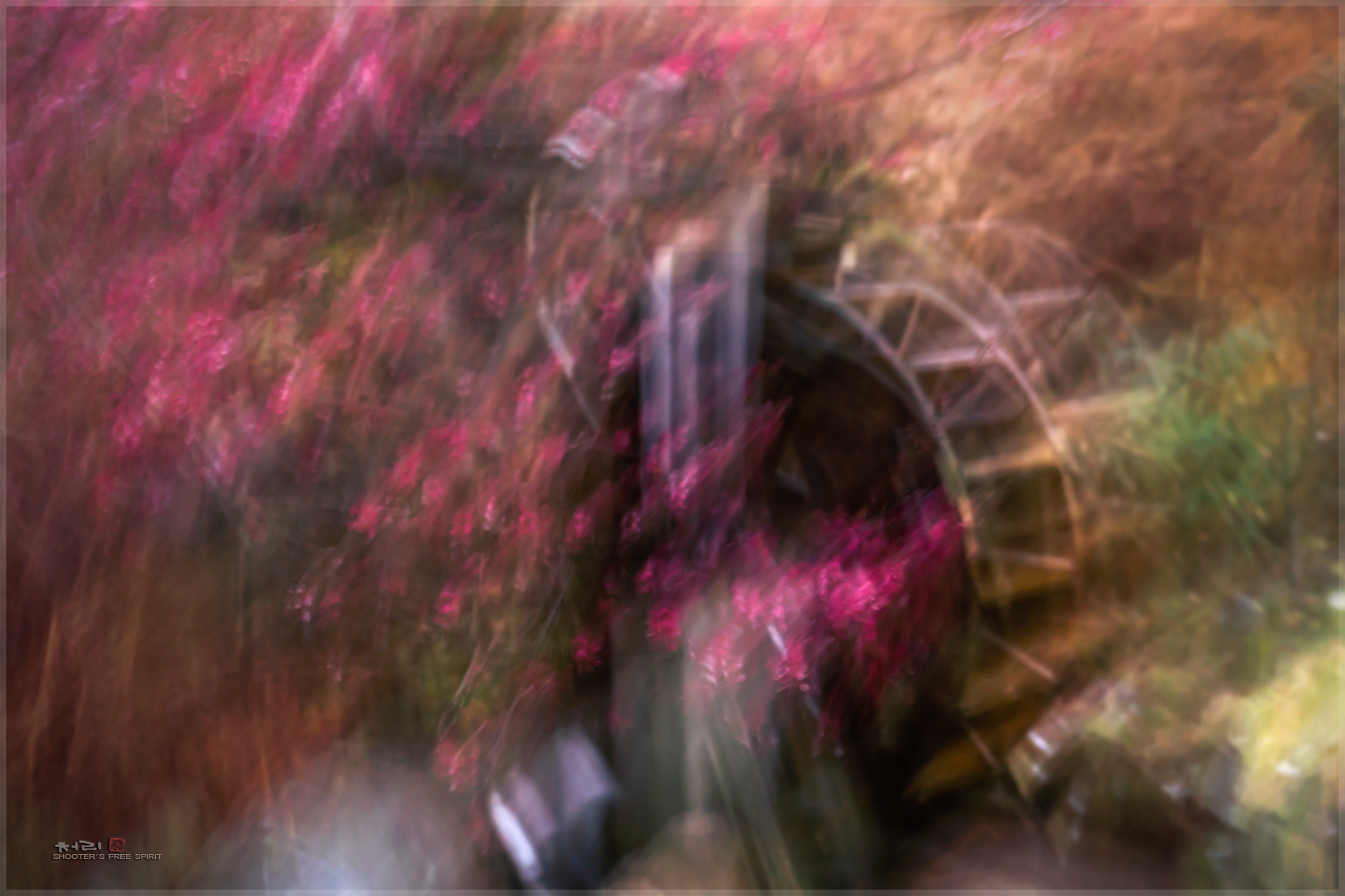 DSC09276 - 복사본.jpg