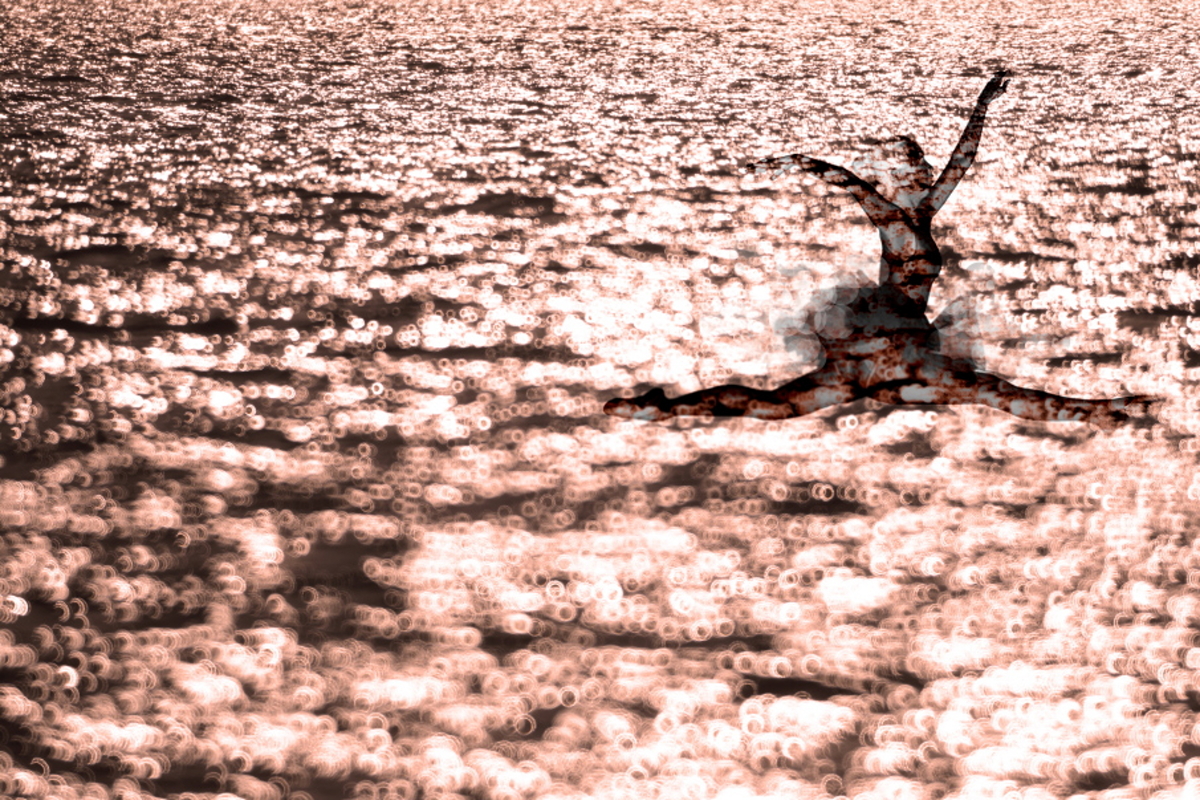 발레리나의 꿈.JPG