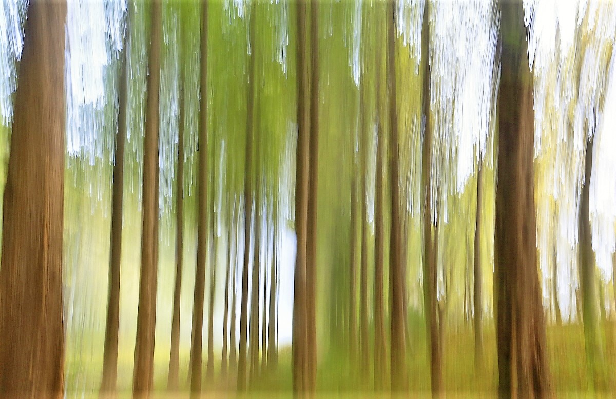 소사본 -_MG_2321.jpg