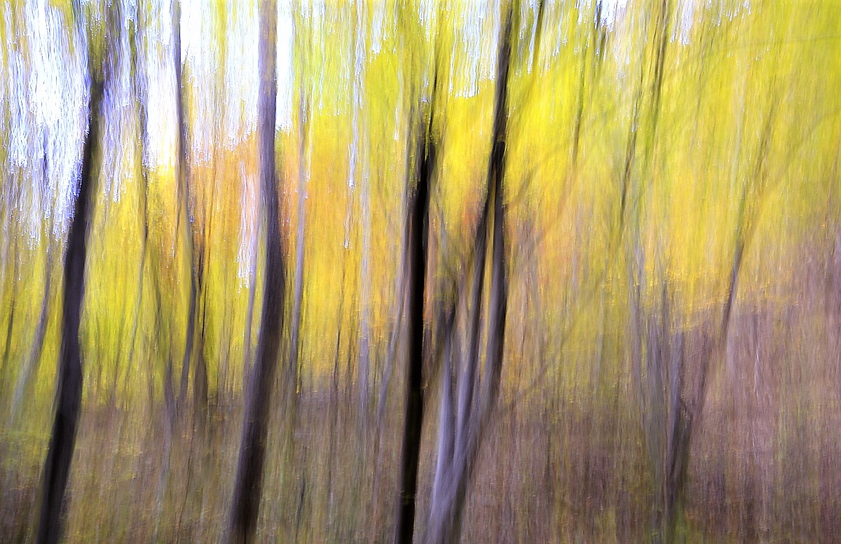 소사본 -_MG_2414.jpg