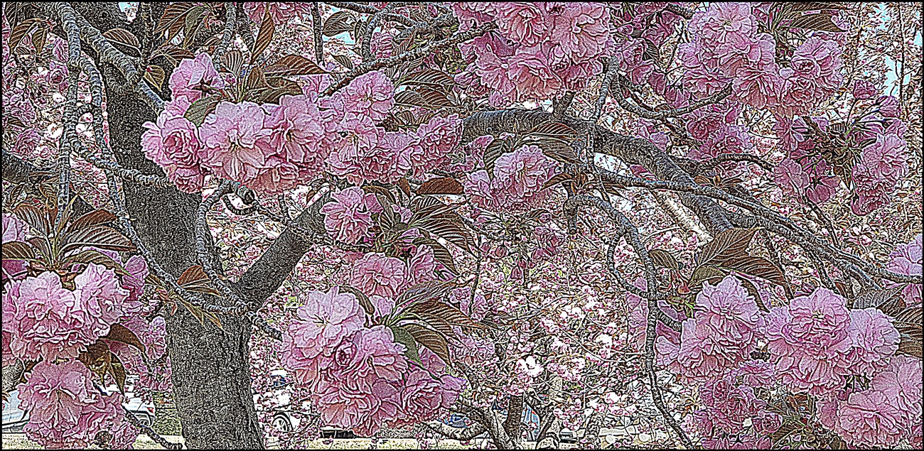 20210413_145035 - 복사본.jpg