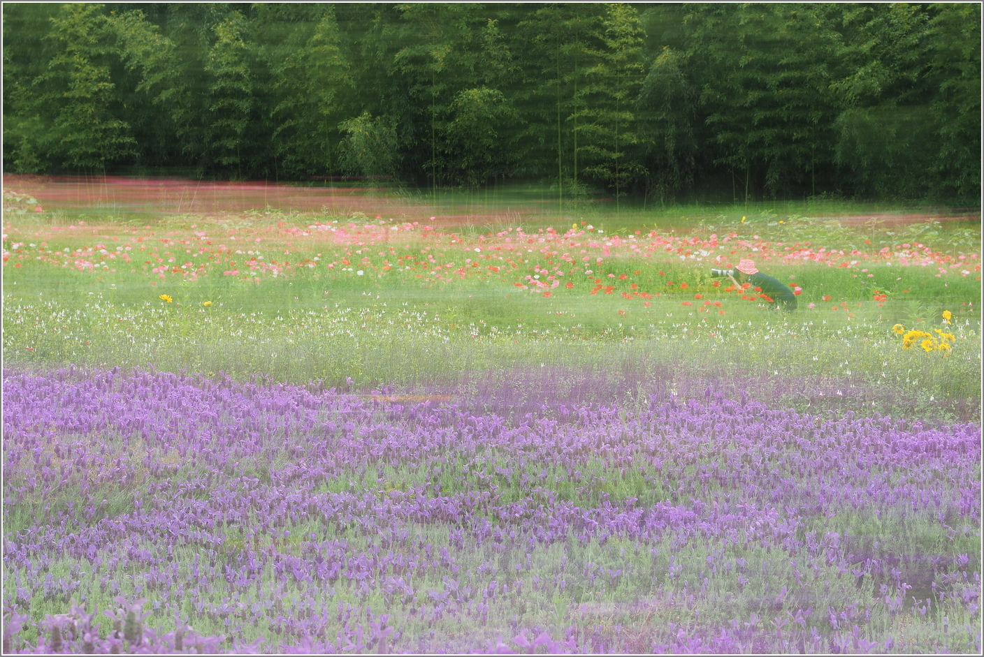 P5250042 (2)-002.JPG