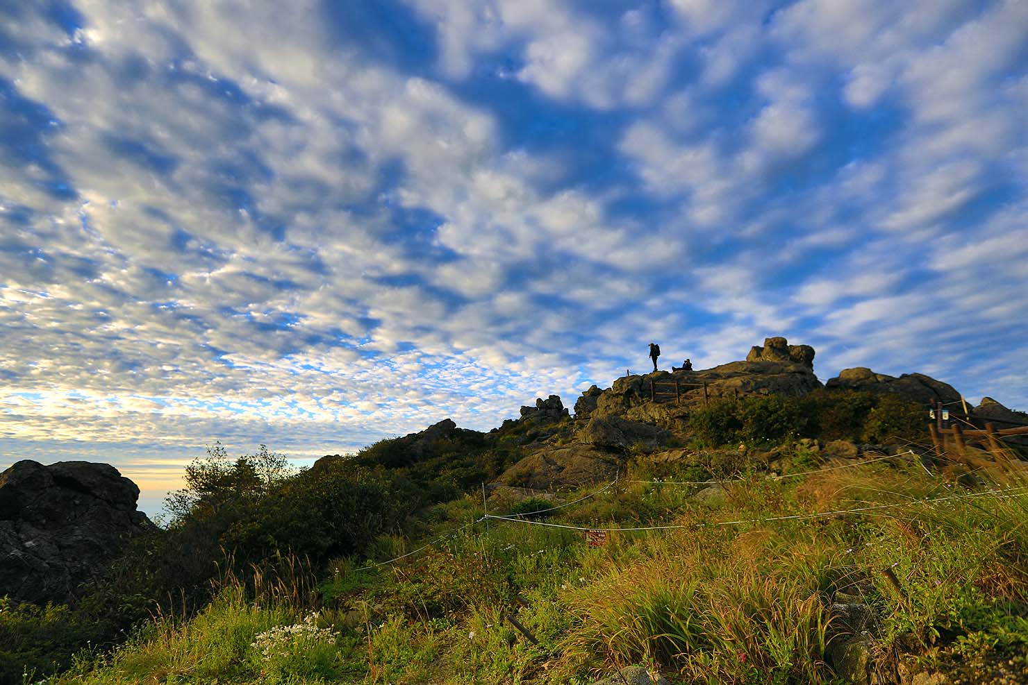 산정무한 (山情無限).JPG