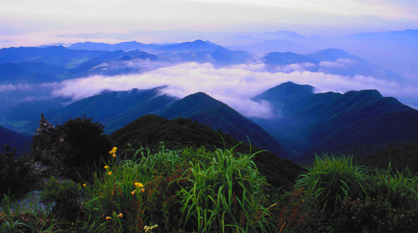 odosan(수정)+복사.jpg