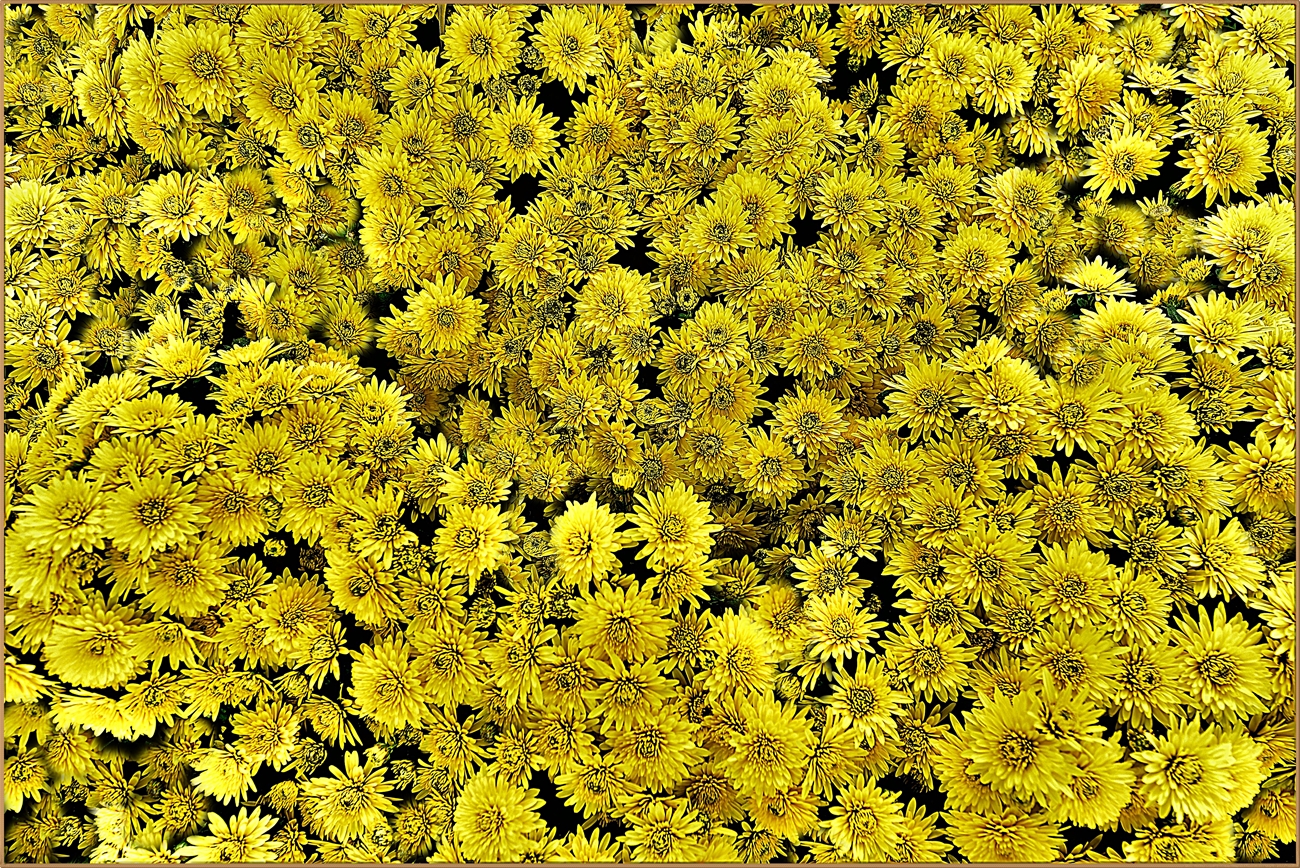 2019_1017울산대왕암-태화강0184 - 복사본.JPG