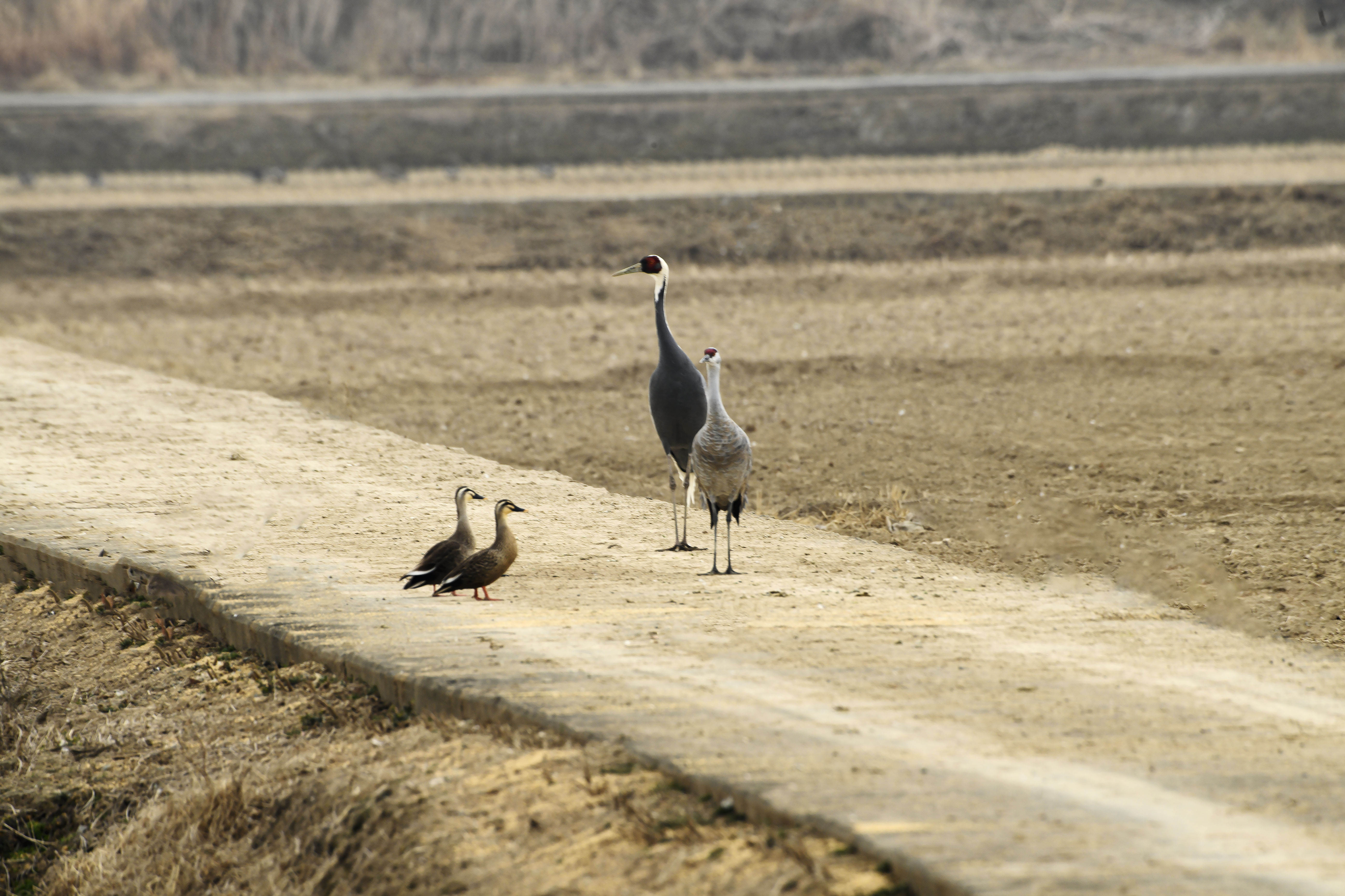 _DSC0929.j-보정.jpg