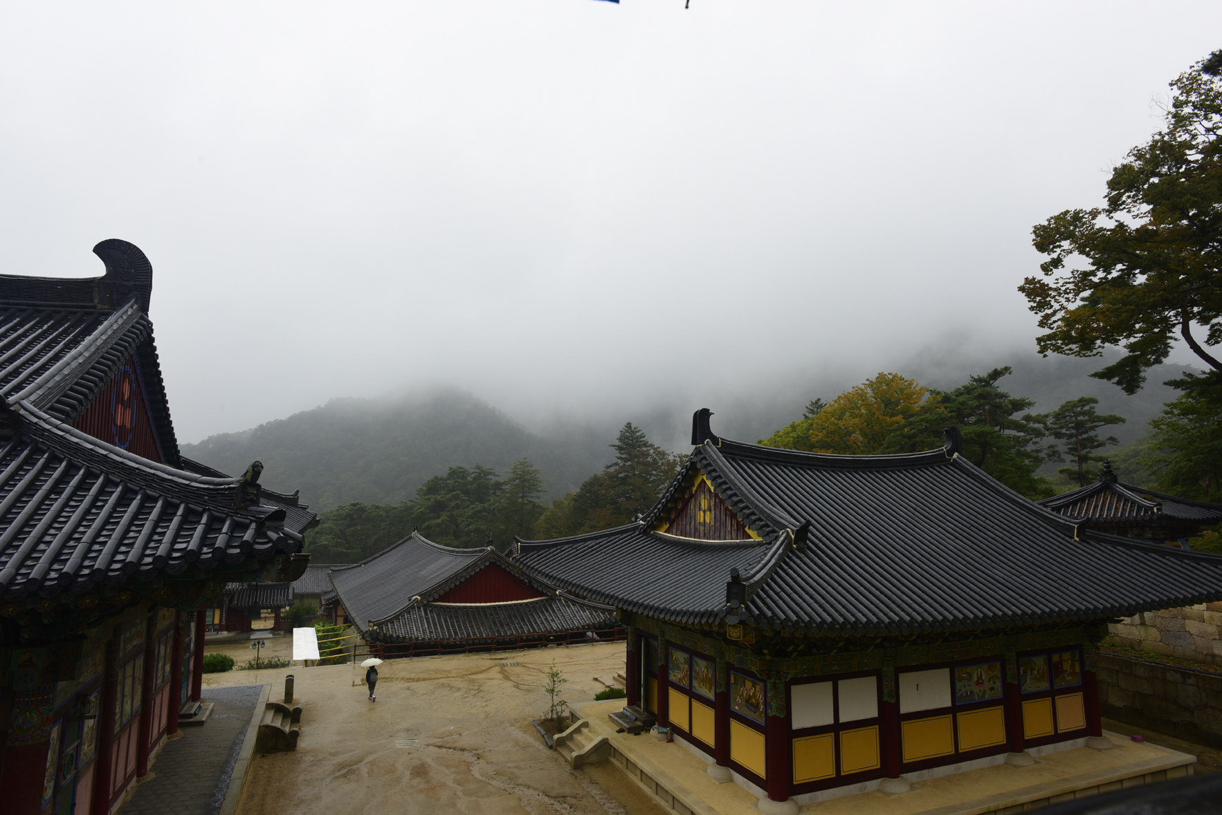 _DSC7171+복사.jpg