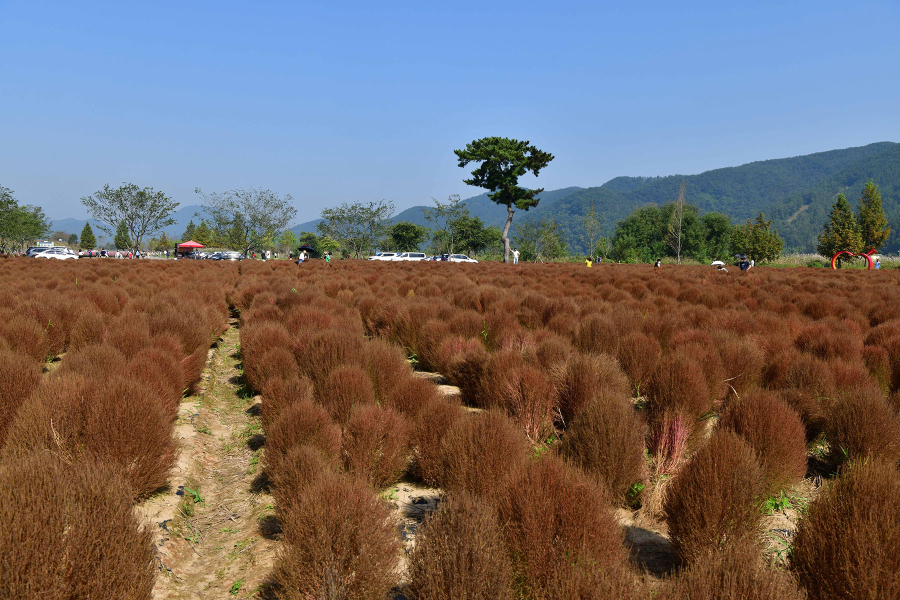 변환_220.jpg  post.jpg