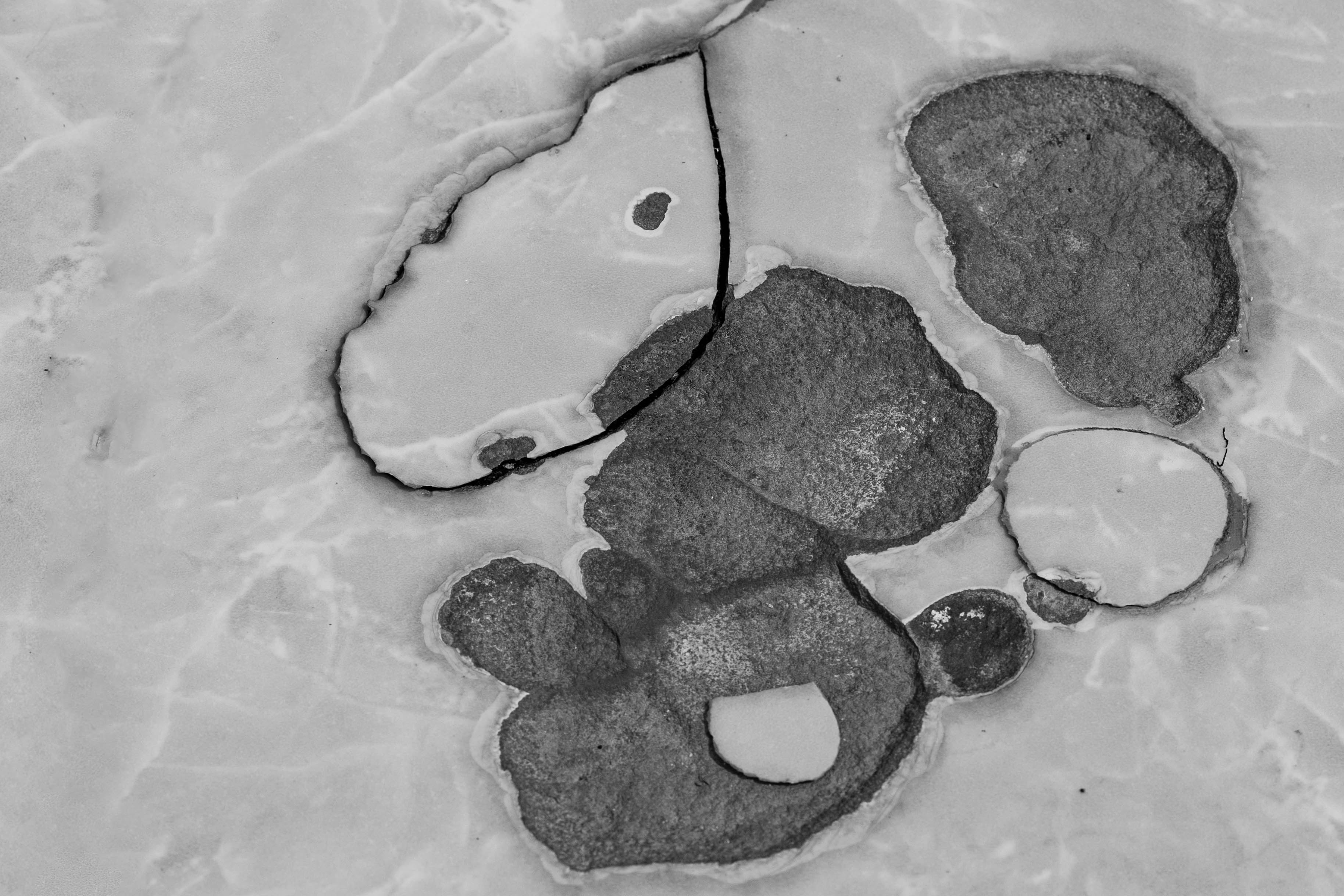 DSY_6070-7 복사.jpg