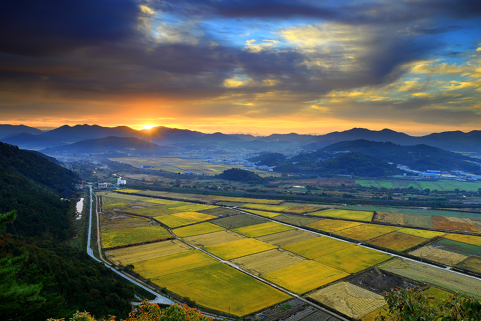 2021-10-30 여명의 들판 4-1550.jpg