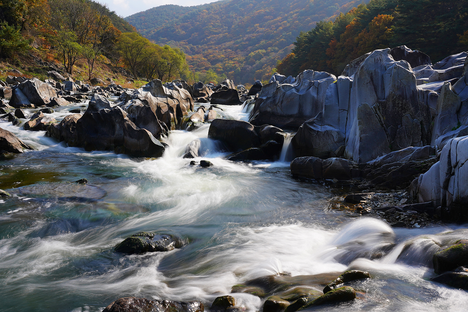 cs jsg ad ssrgg (32)a.jpg