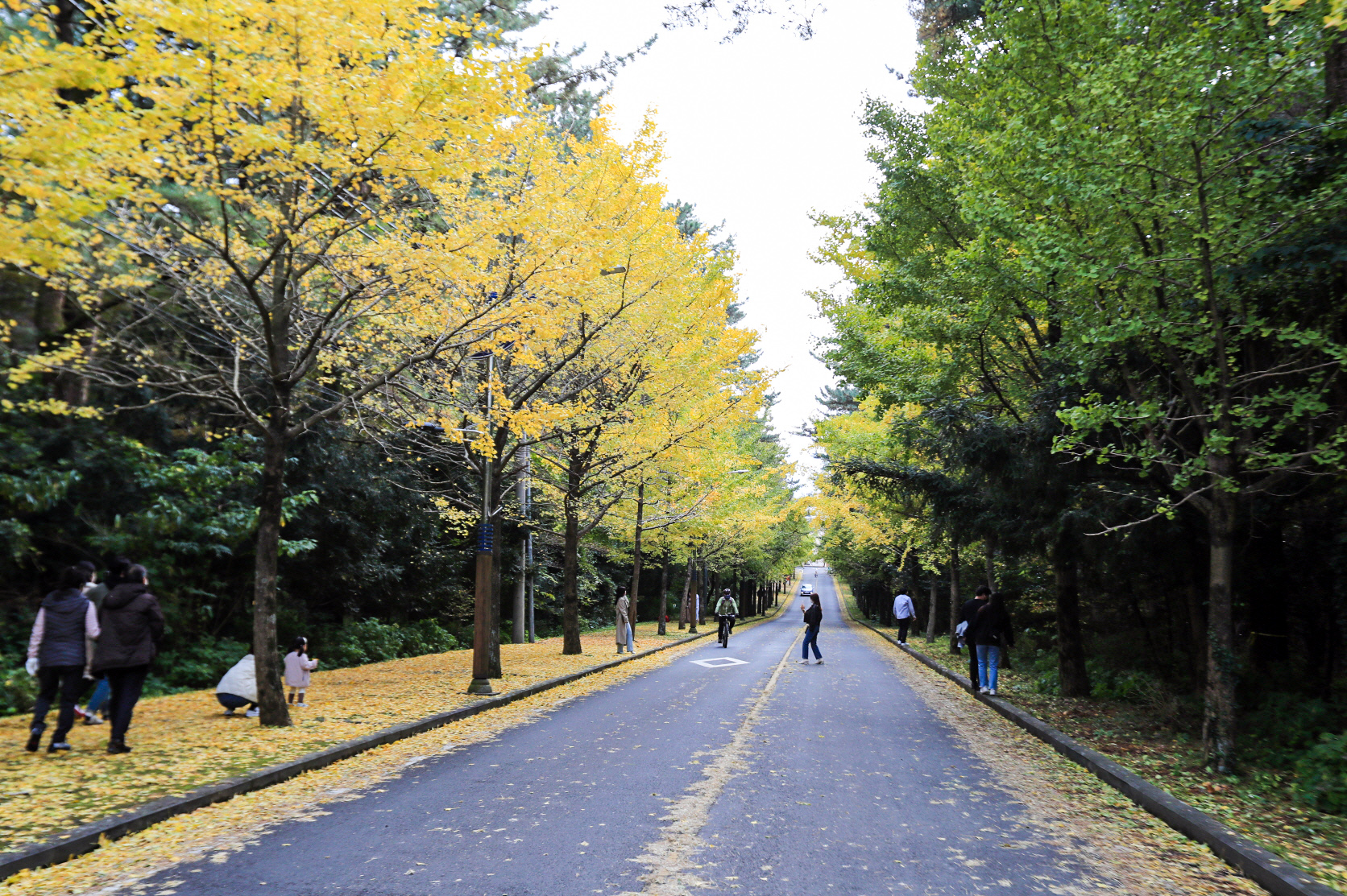 20211113-제주대학교 (19).JPG