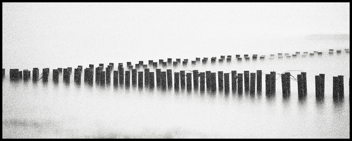 04 복사장항223.jpg