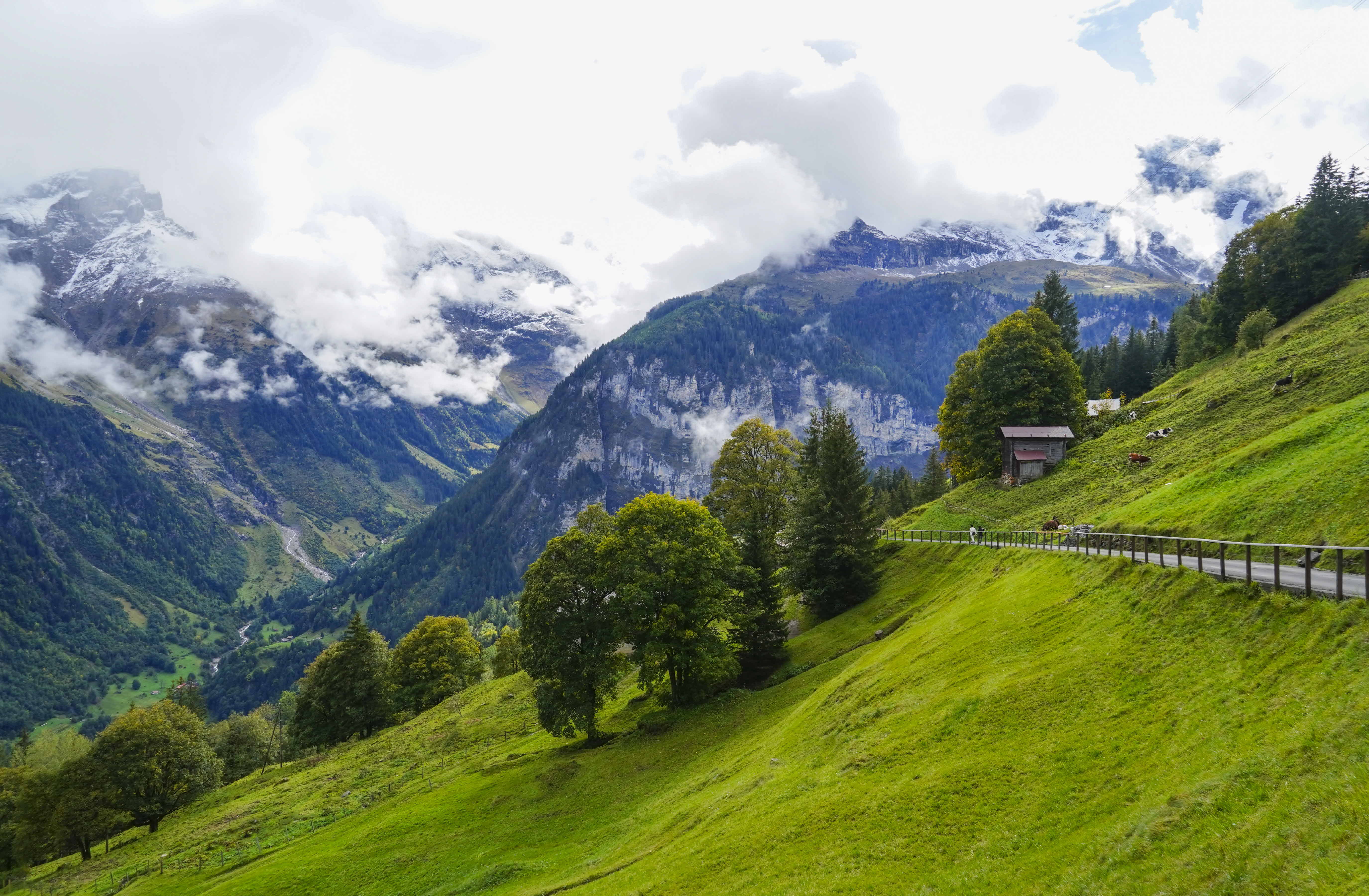 크기변환_DSC01923 사본.jpg