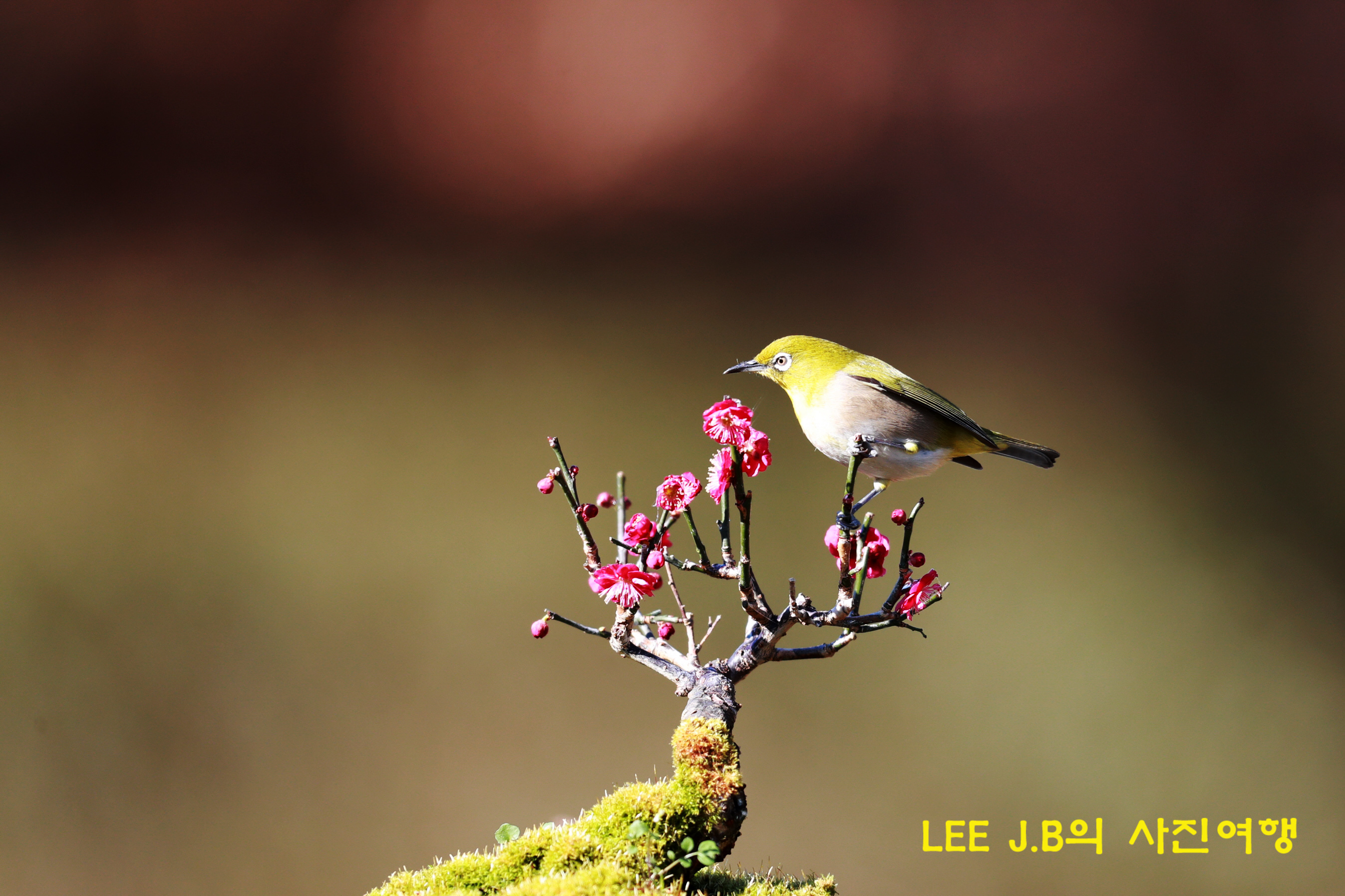 20211231-문수구장 (33).JPG