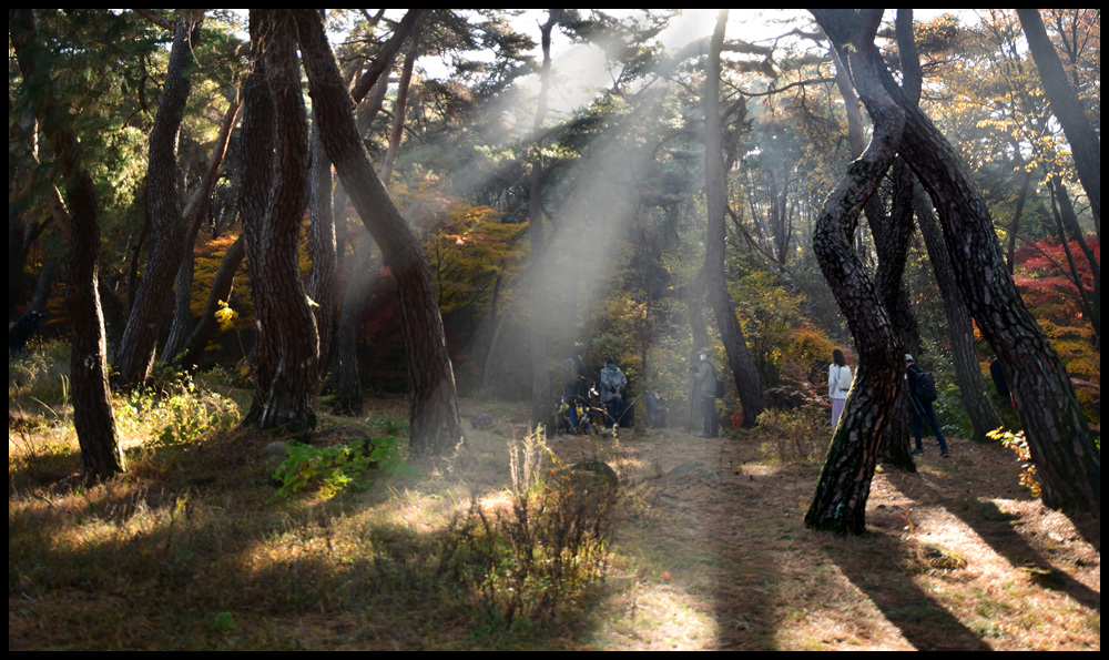 0DS_6186 복사099.jpg