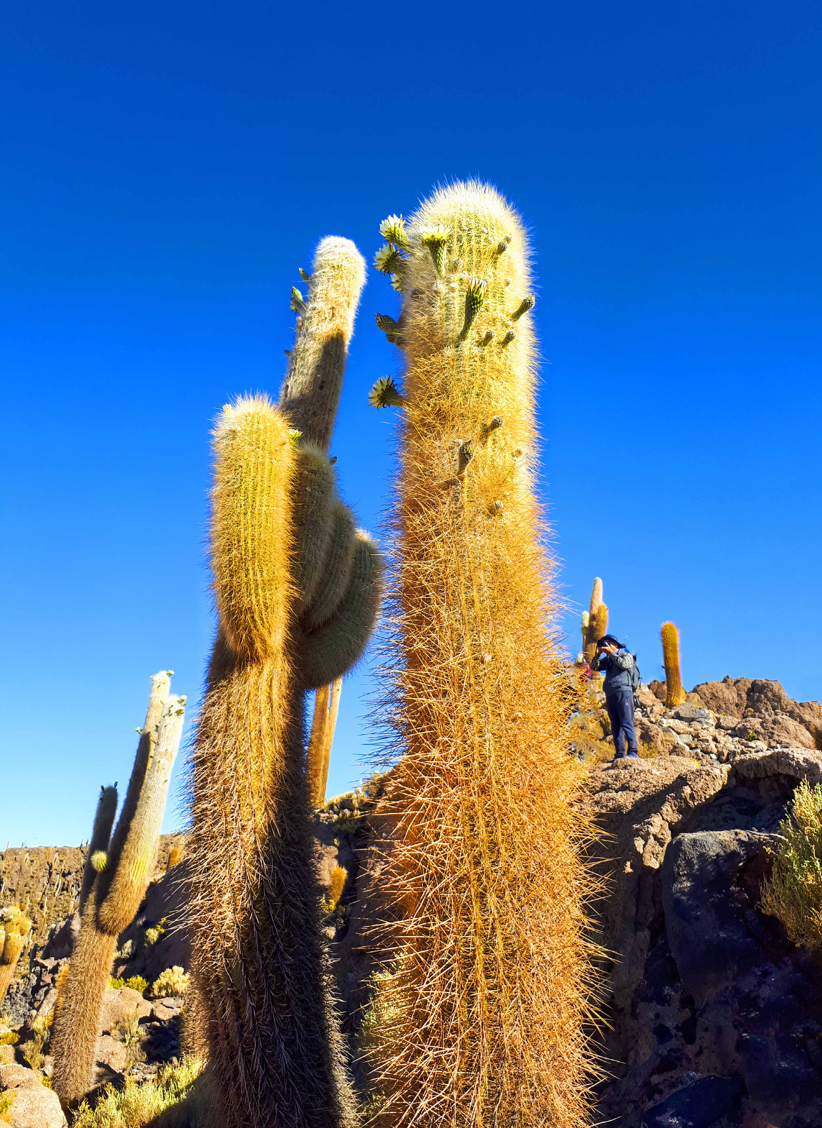 크기변환_20181106_163001 사본.jpg