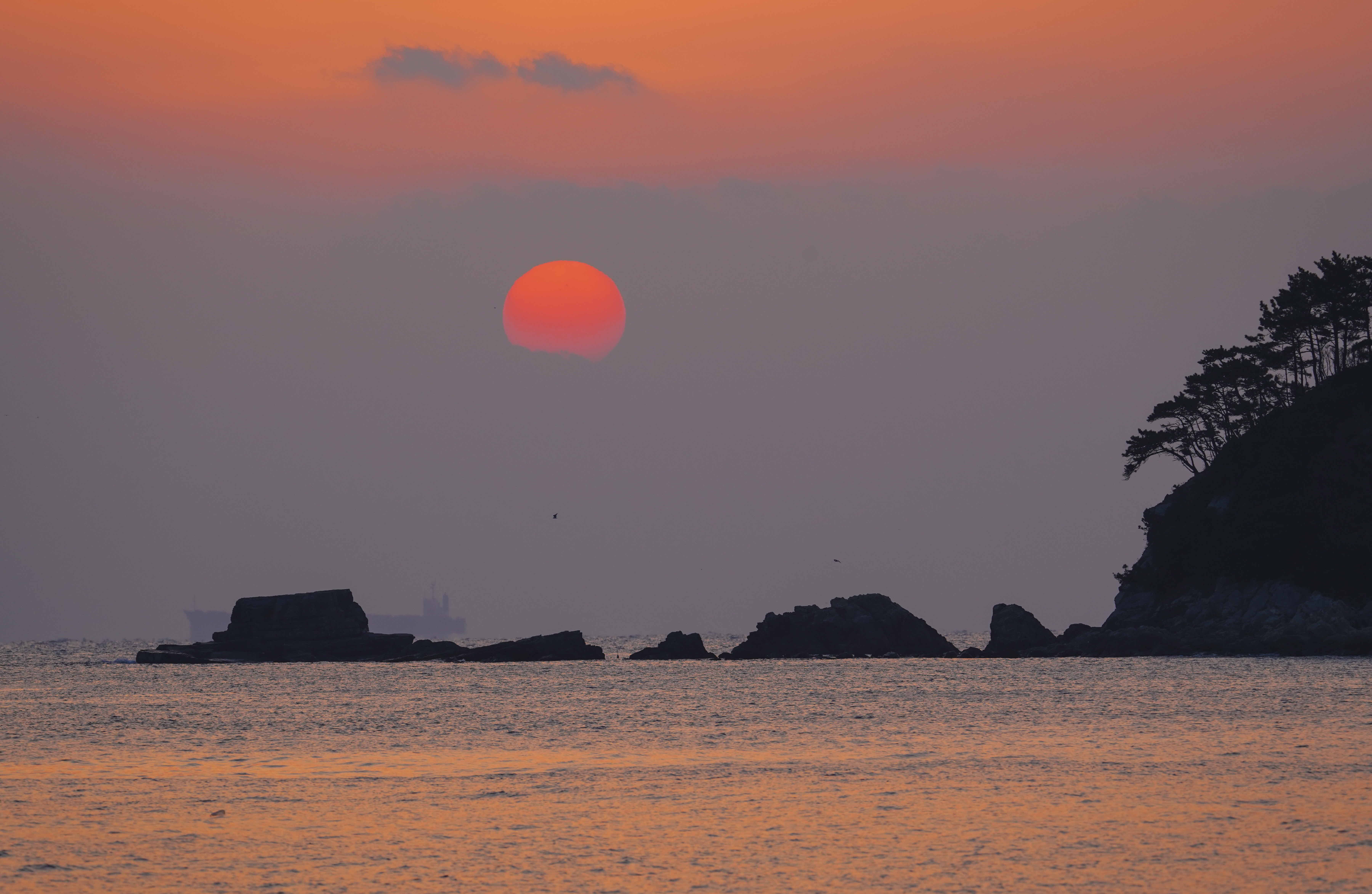 크기변환_DSC07701 사본.jpg