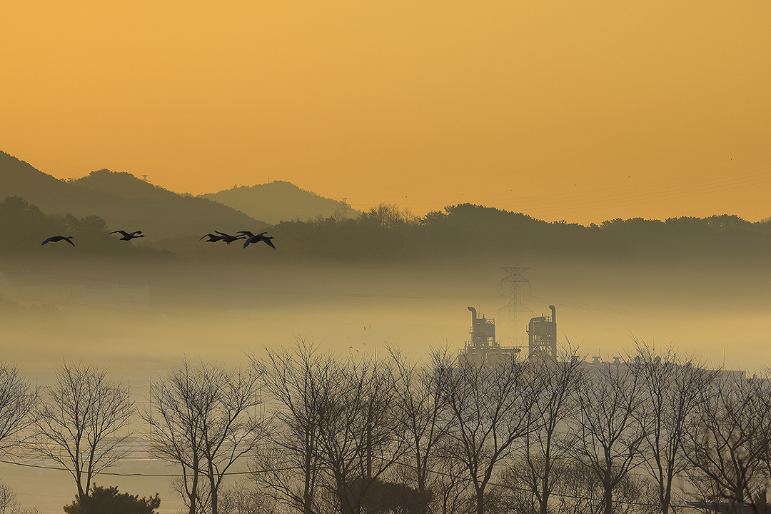 2022-2-9 화포천 13-1080.jpg