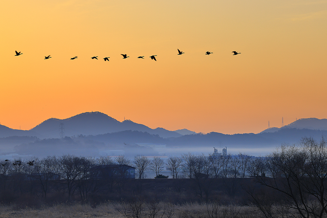 2022-2-9 화포천 9-1080.jpg