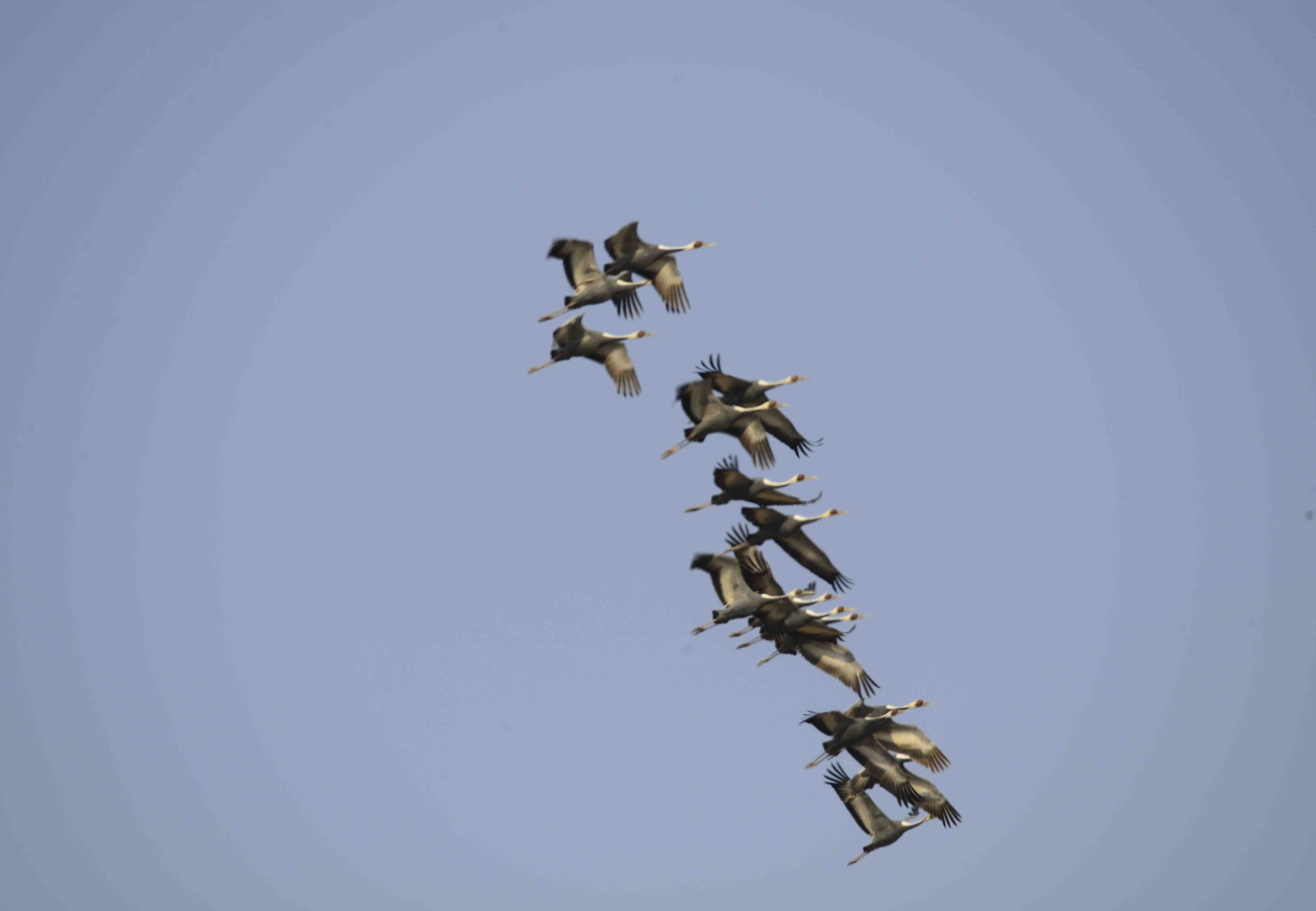 _DSC0587 - 복사본 - 복사본.JPG