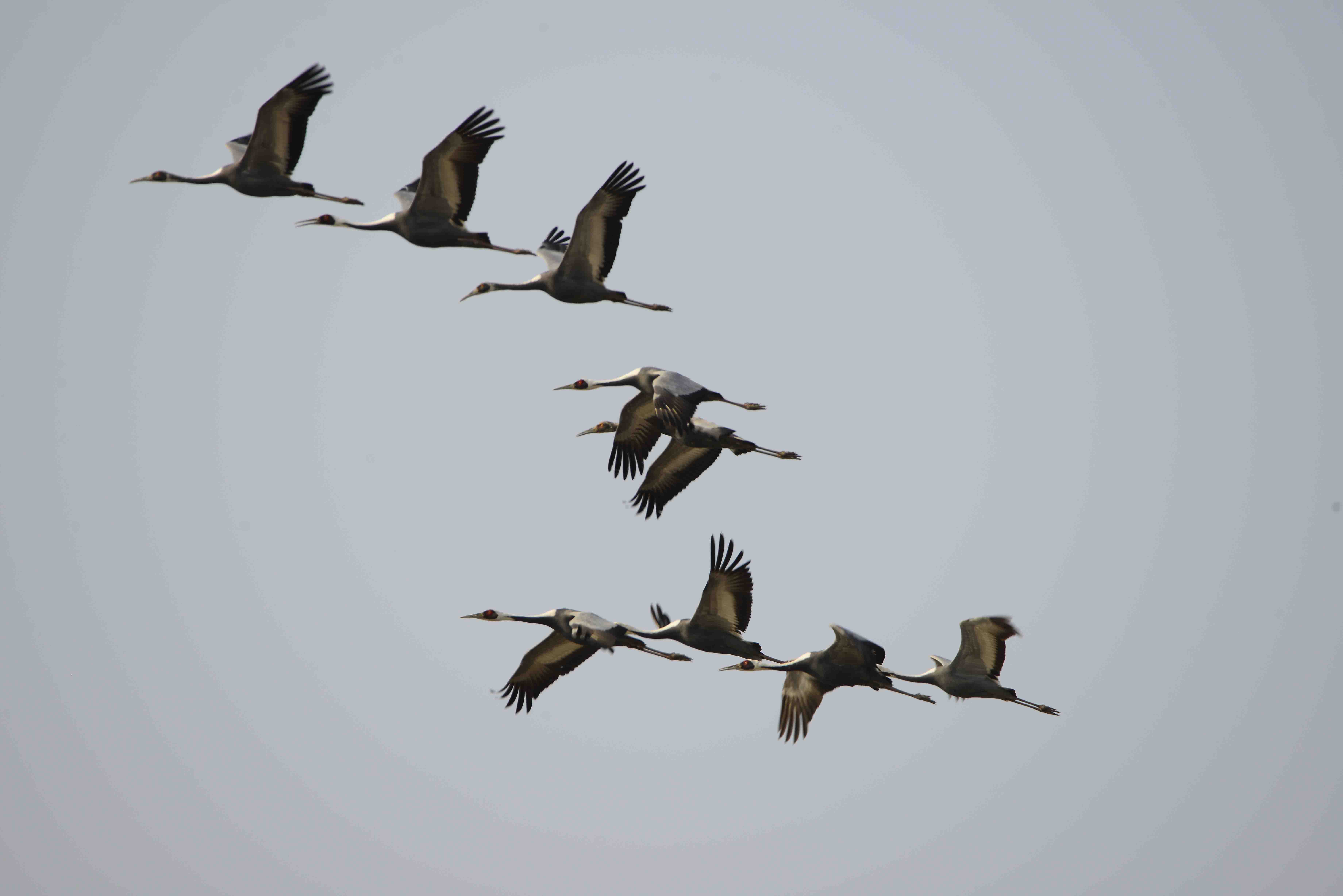 _DSC0655 - 복사본 - 복사본.JPG