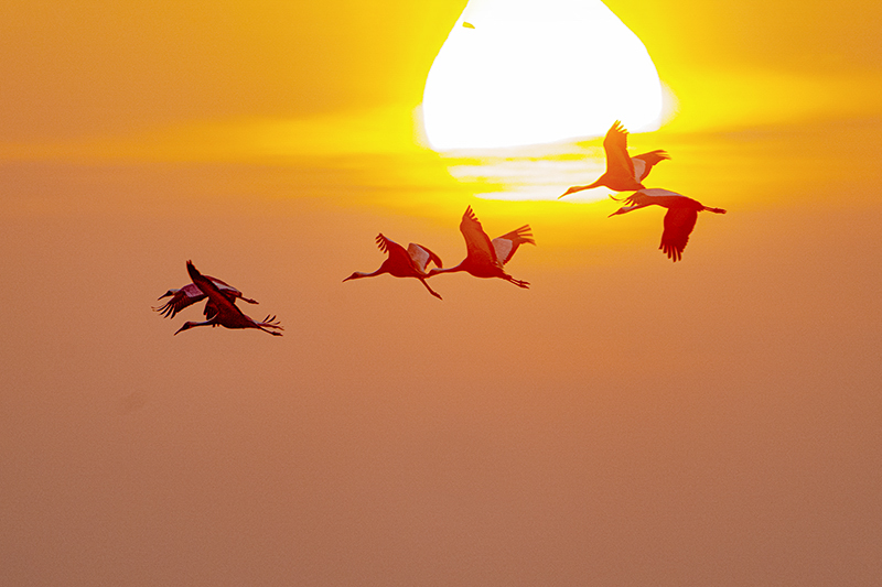 DSC08386 사본-1.JPG