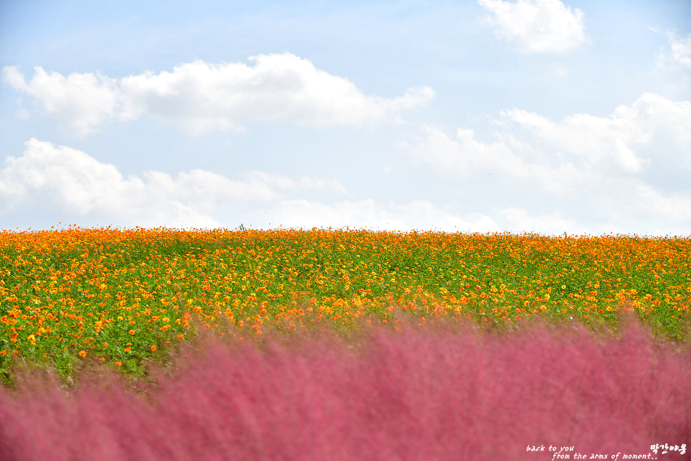 20211005 안성팜랜드_0094_view-pw.jpg