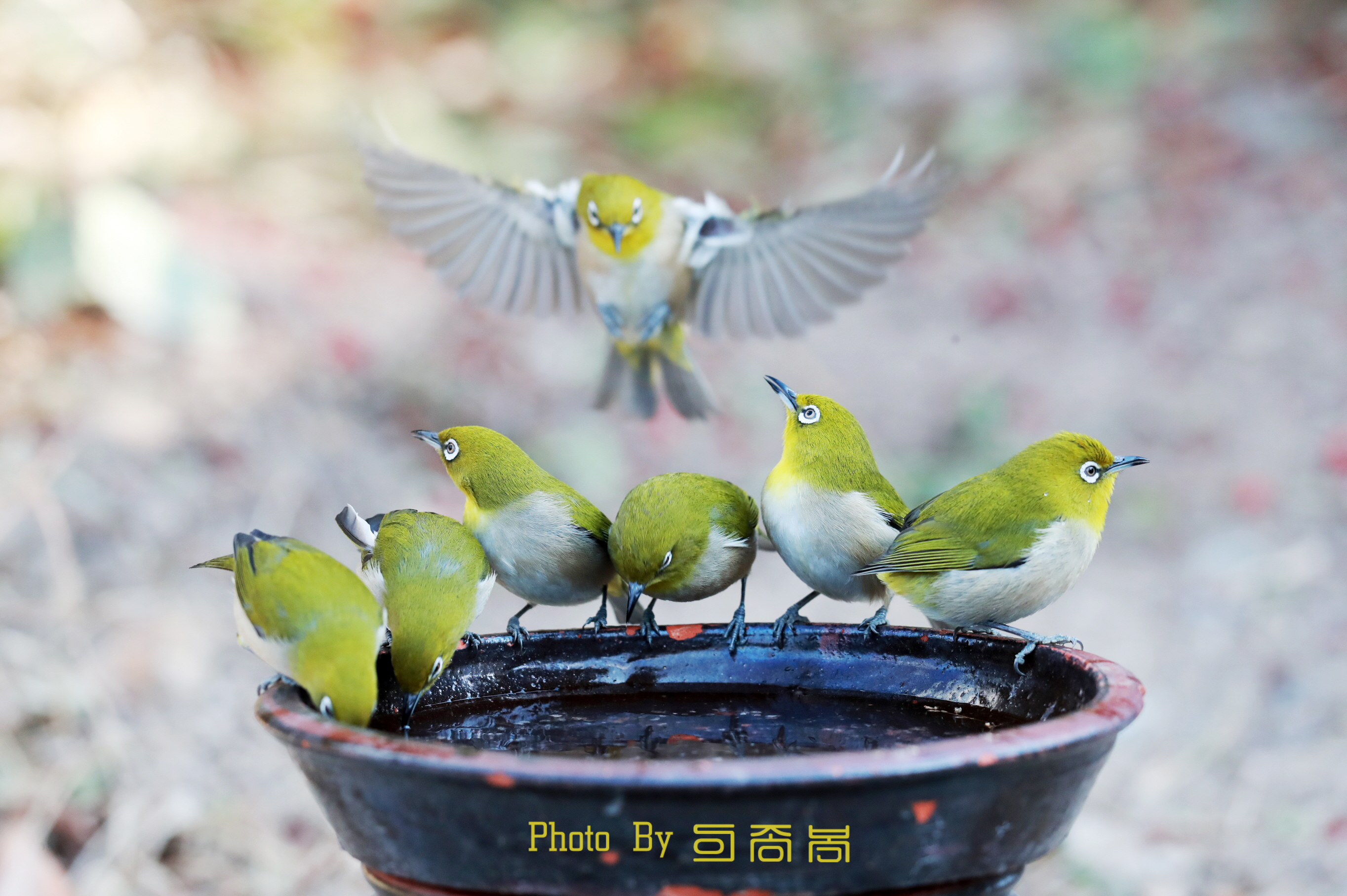 20220201-우리아파트 (50).JPG