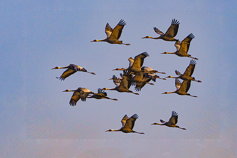 DSC03497 -사본.JPG