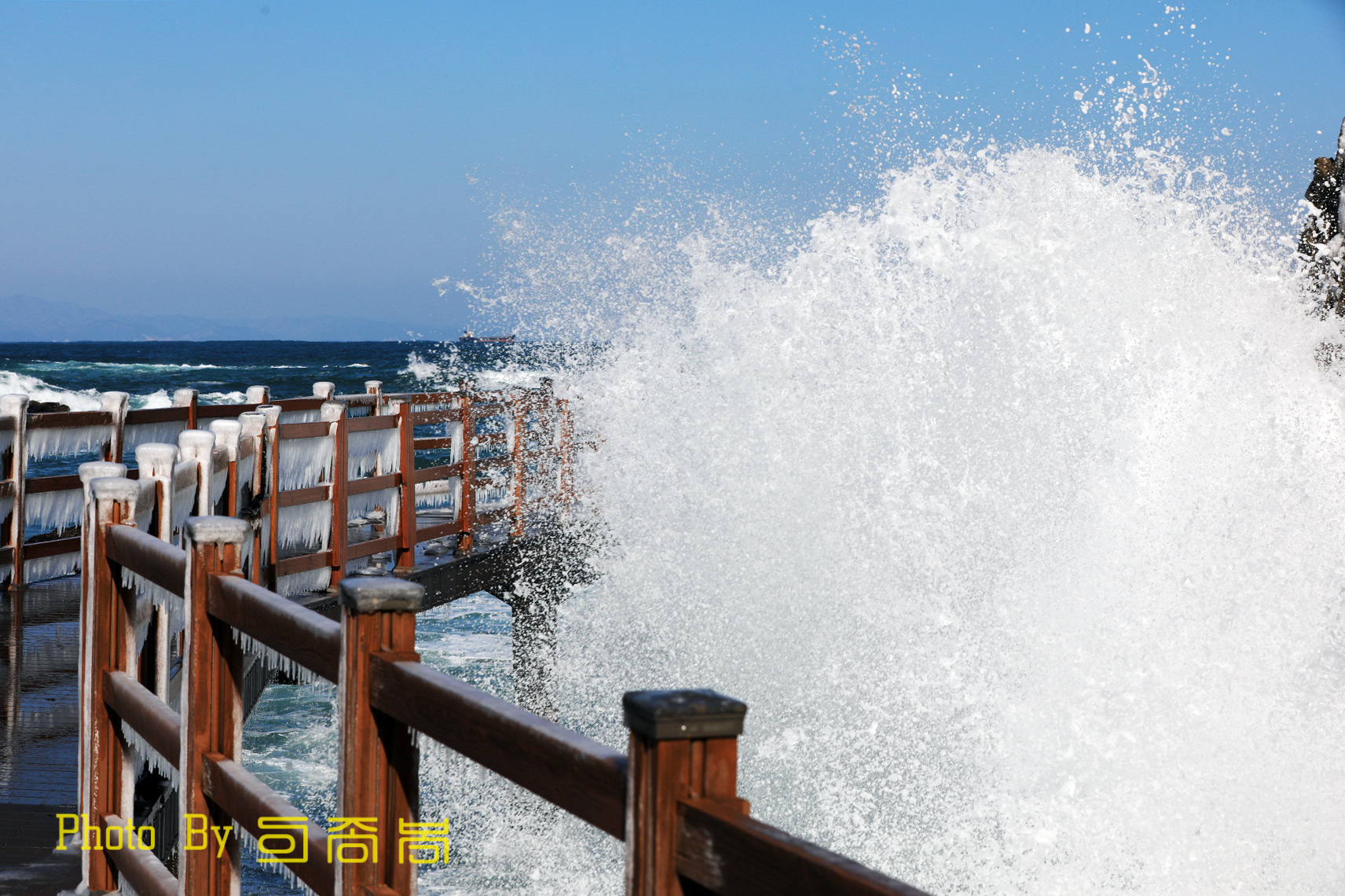 20220217-대동배2리2 (42).JPG