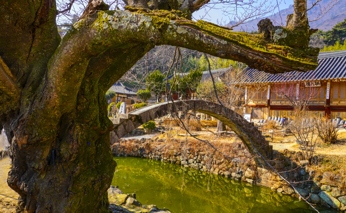 [크기변환]DSC08210z 사본.jpg