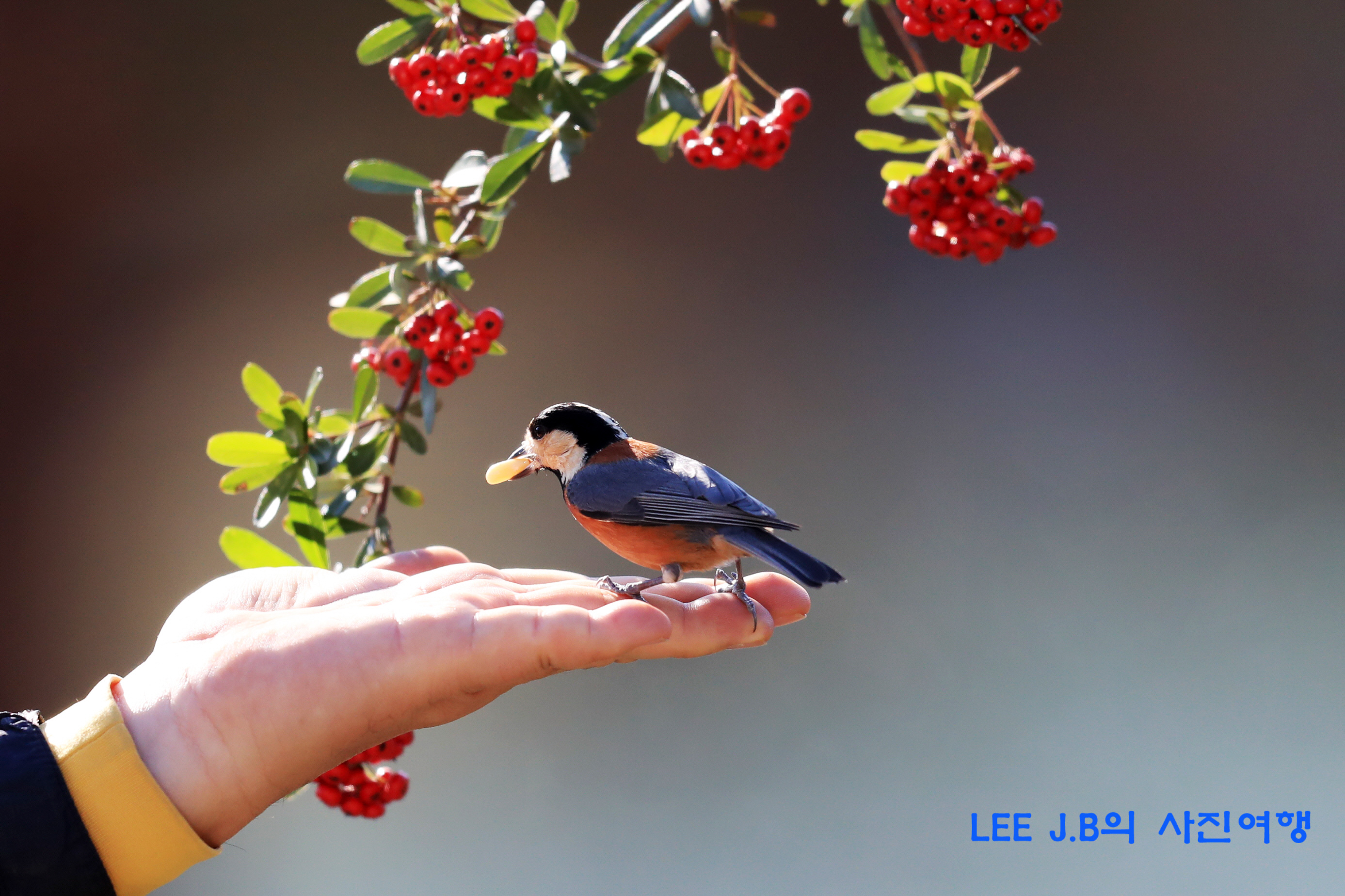 20220106-문수구장 (69).JPG