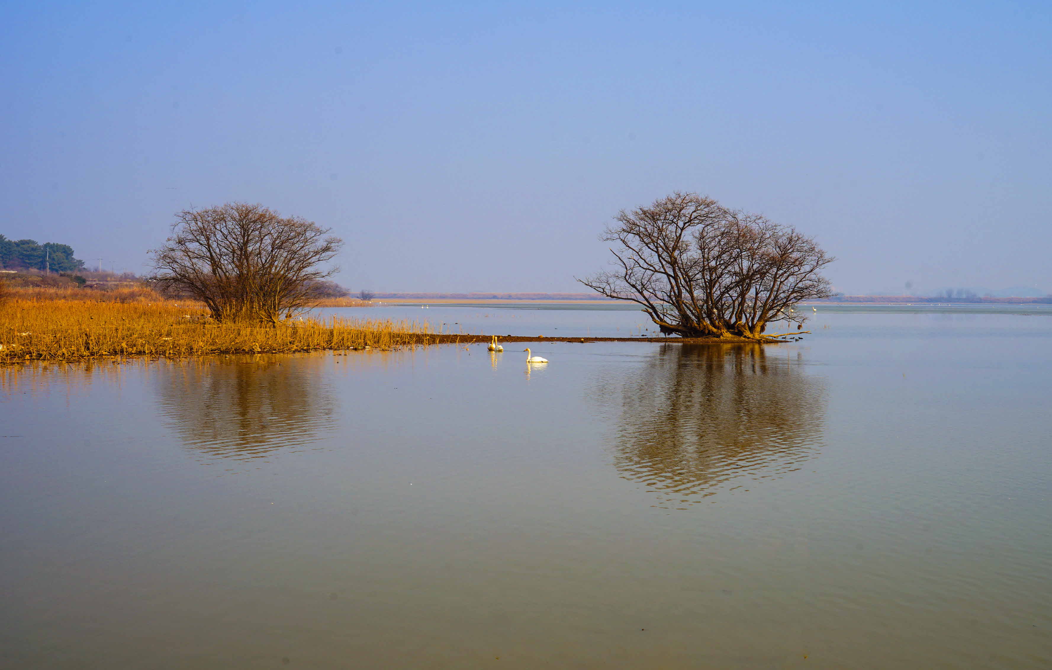 크기변환__DSC0733 사본.jpg