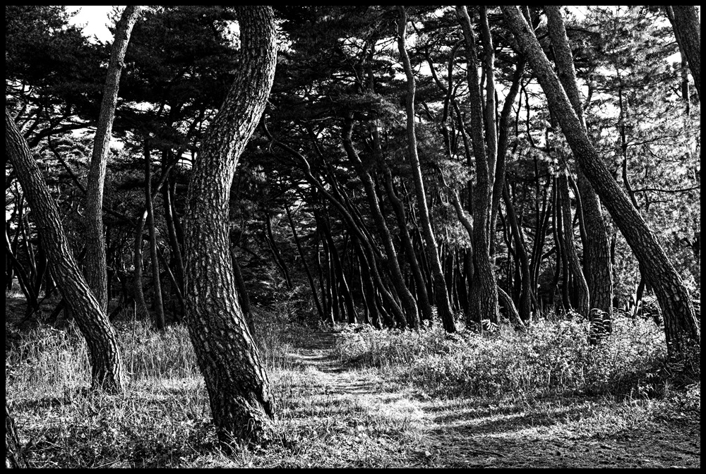 0DS_5923-2 복사04.jpg