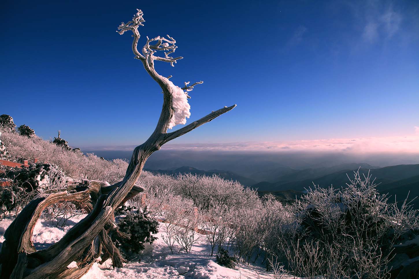 14 태백산 134.jpg