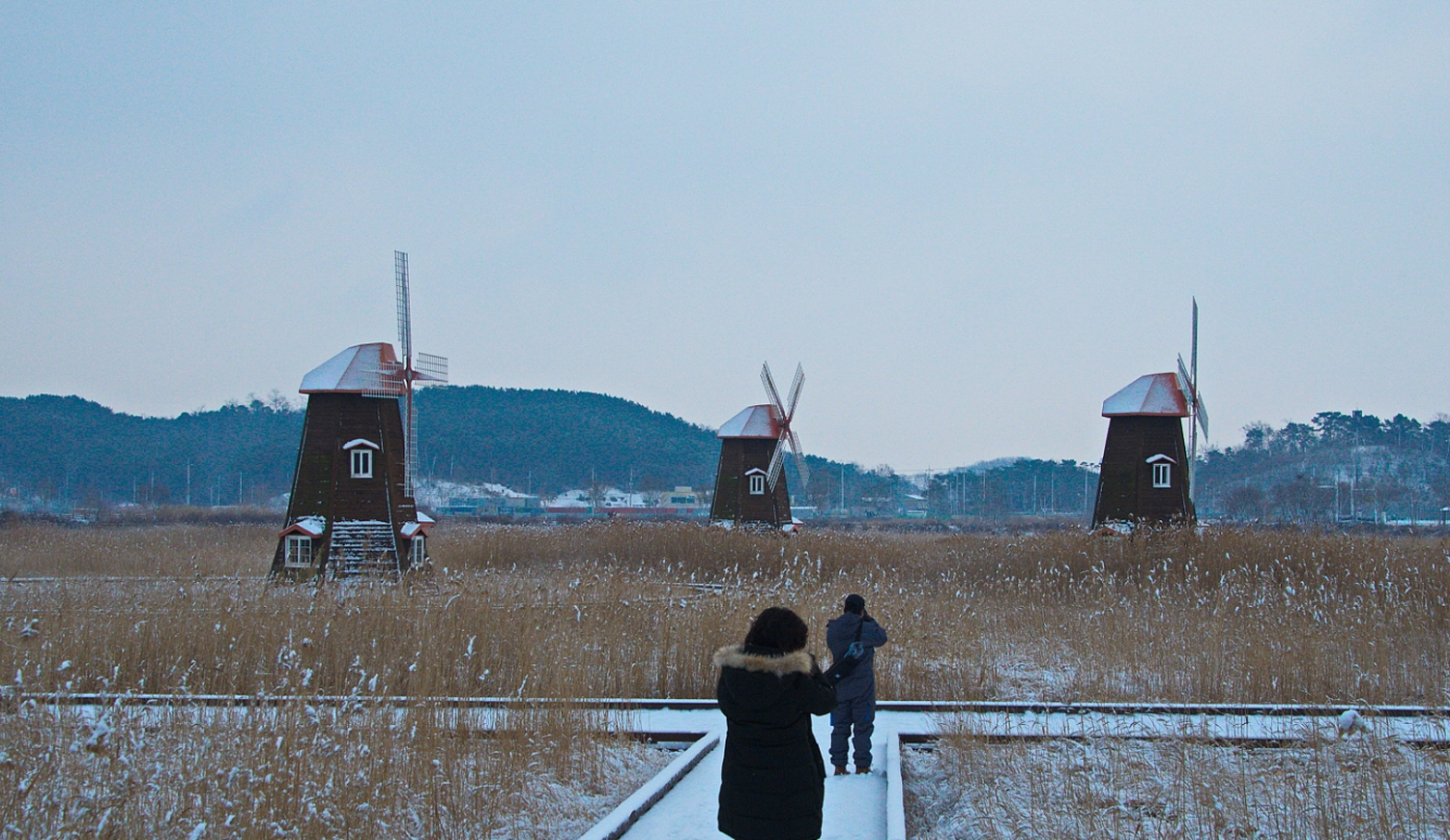 돌지 않는 풍차.jpg