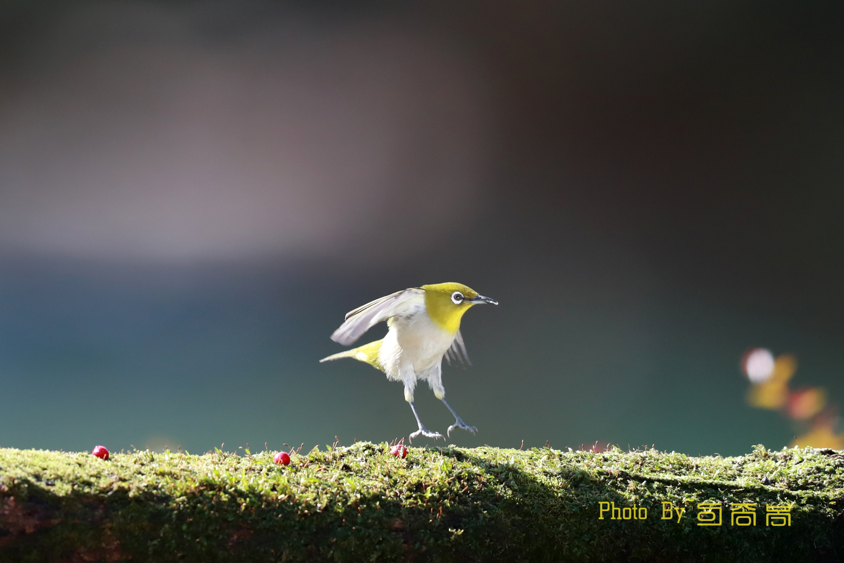 20220131-뮨수구장 (25).JPG