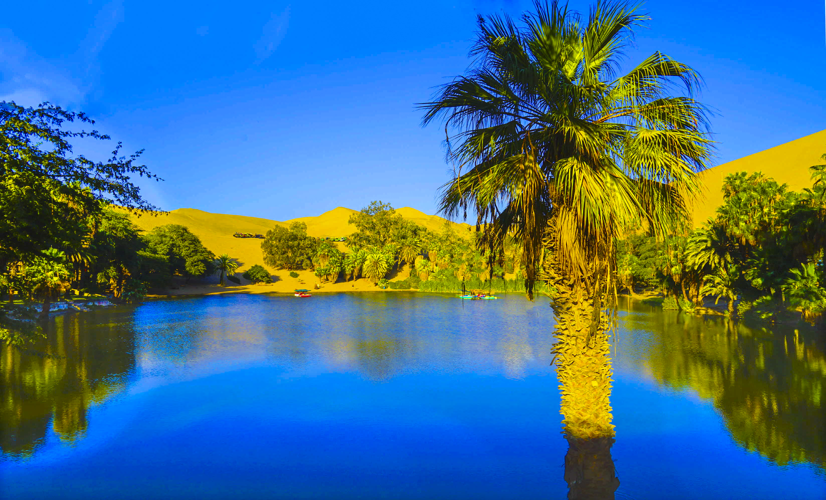 크기변환__DSC7546 사본.jpg