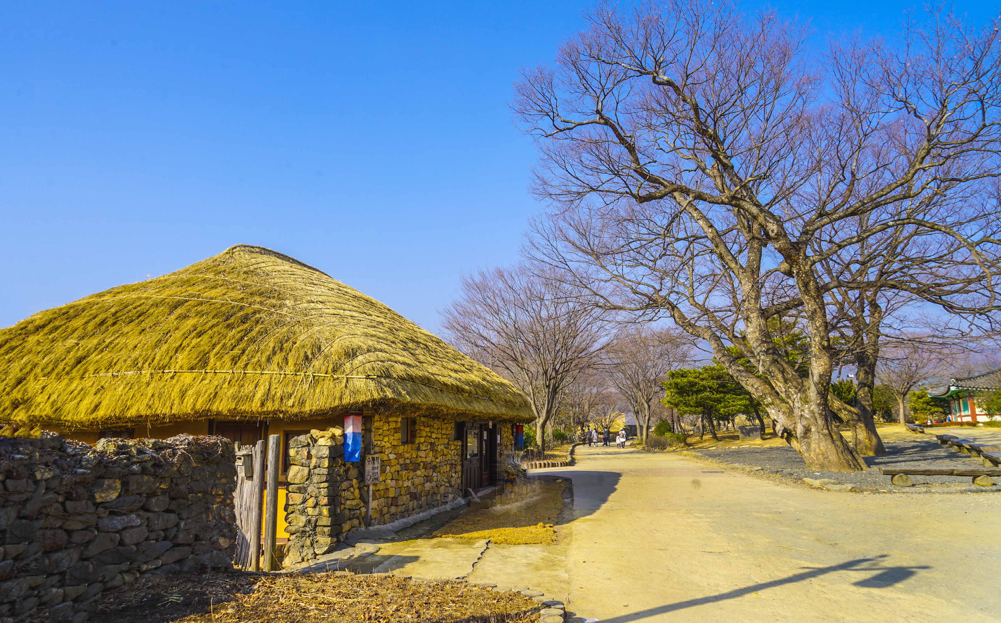 크기변환__DSC1148 사본.jpg