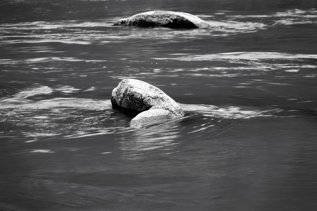 DSC06596_edited (3).jpg