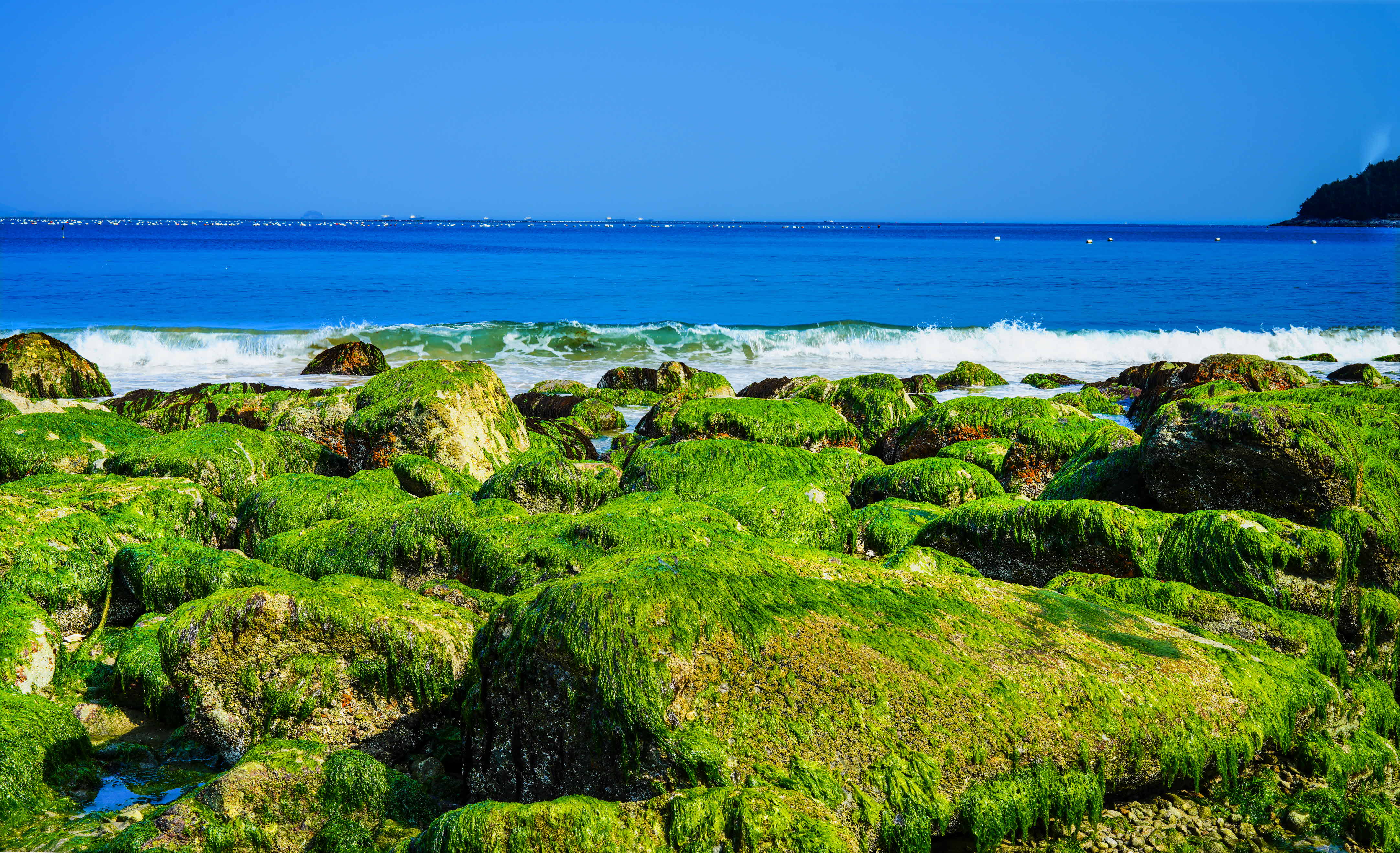 크기변환__DSC9522 사본.jpg