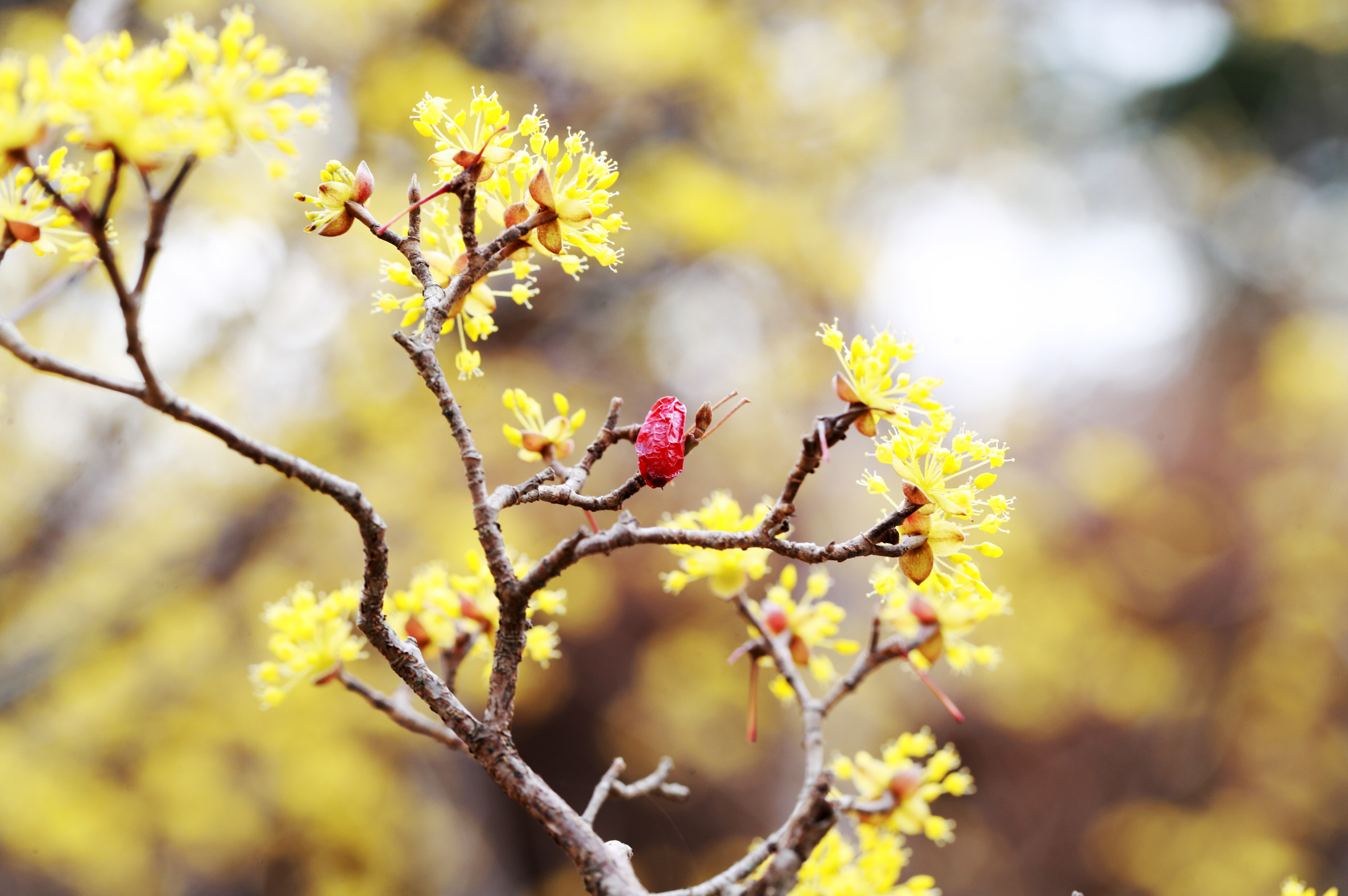 20220312-척과 (4).JPG