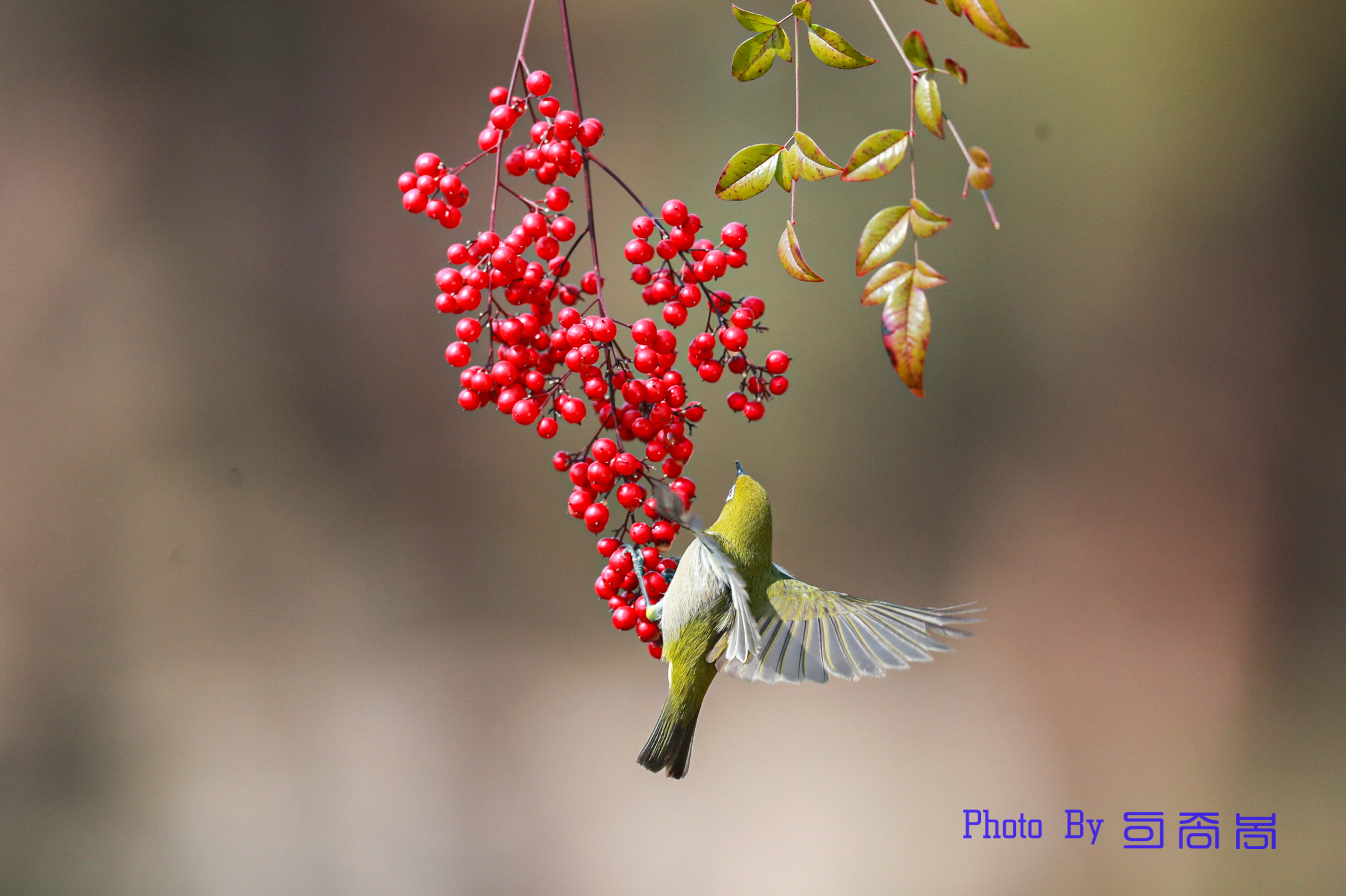 20220309-문수구장 (9).JPG