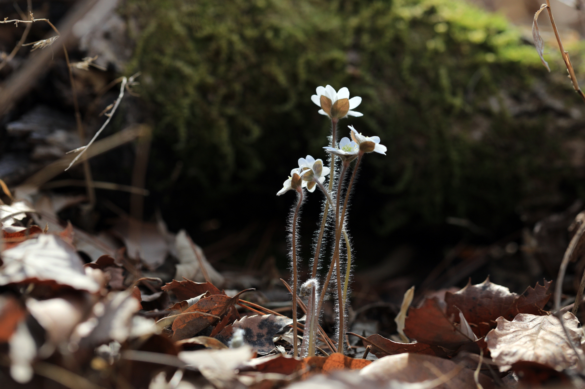 20220321-언양 (8).JPG