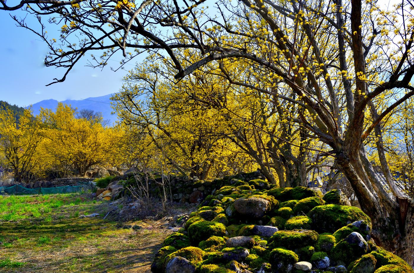 gh205_1 - 복사본.jpg