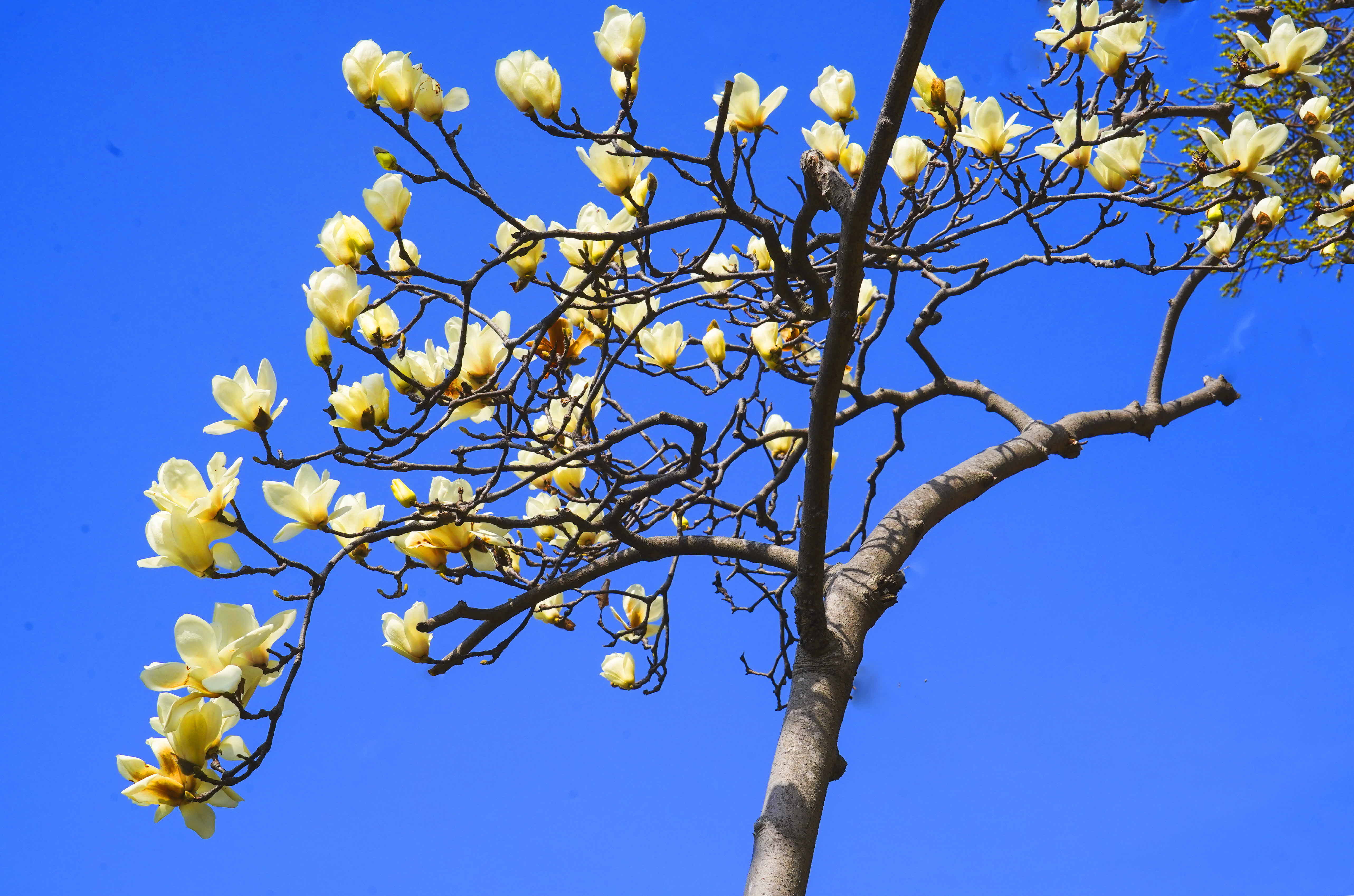 크기변환_DSC07203 사본.jpg